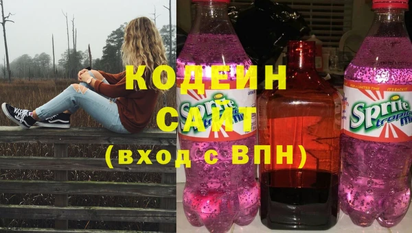 МДПВ Каменка