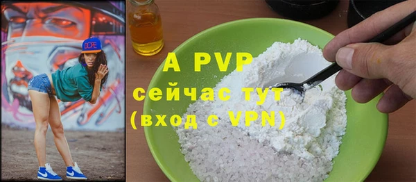МДПВ Каменка