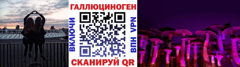 Купить закладки  Кинешма  Псилоцибиновые грибы прущие грибы 